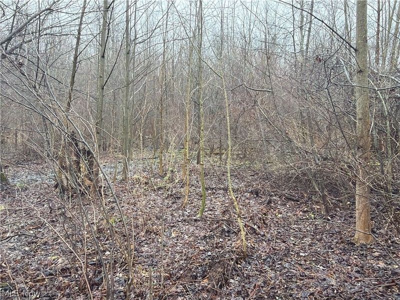 Ninevah Road , Geneva, OH 44041 Photo 9