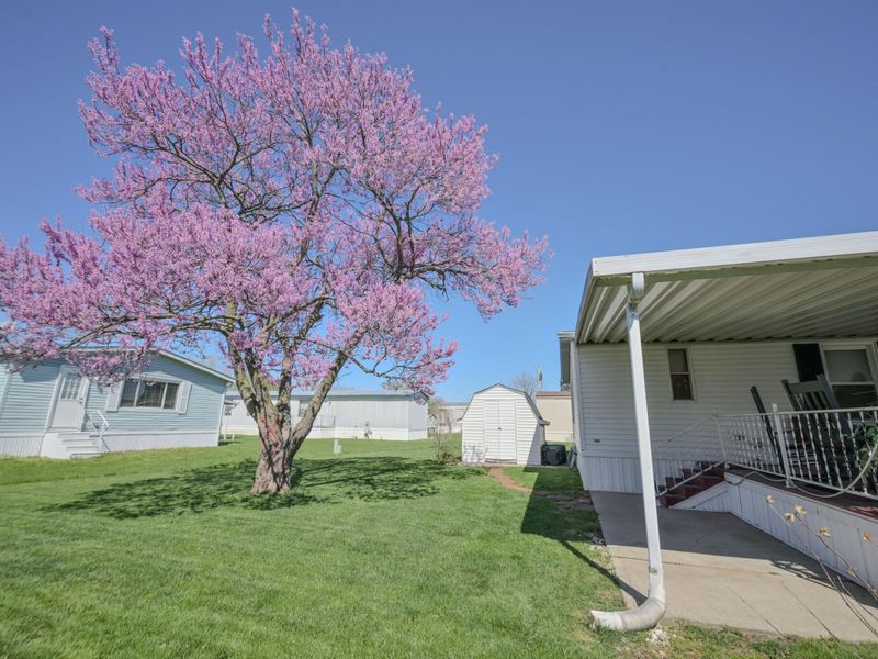 12218 Sandi Lane, Medway, OH 45341 Photo 42