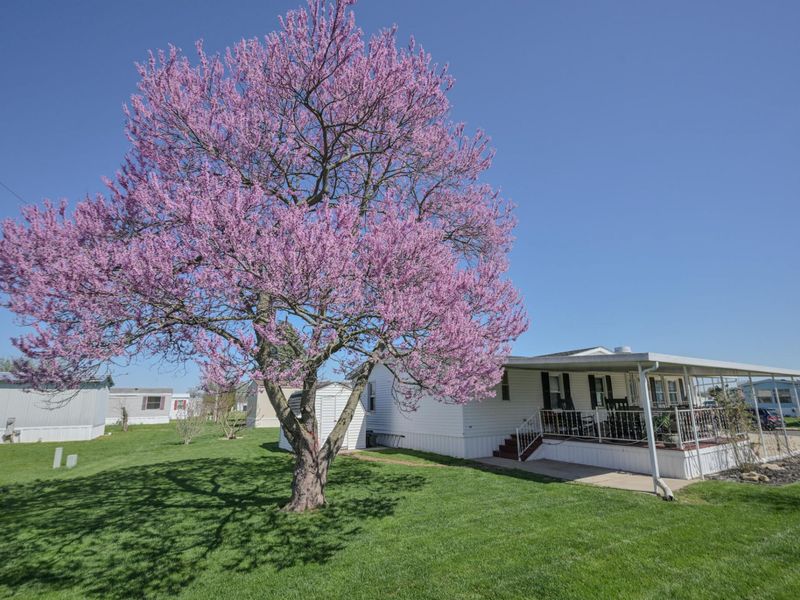 12218 Sandi Lane, Medway, OH 45341 Photo 43