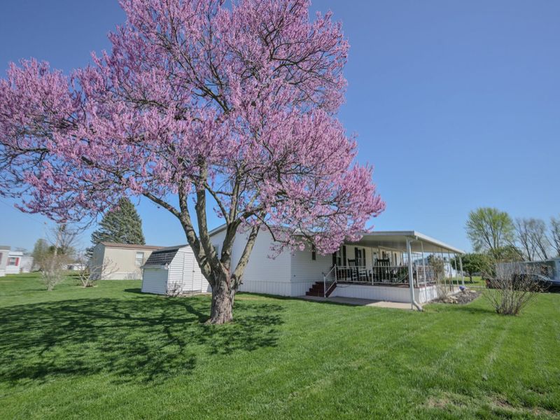 12218 Sandi Lane, Medway, OH 45341 Photo 44