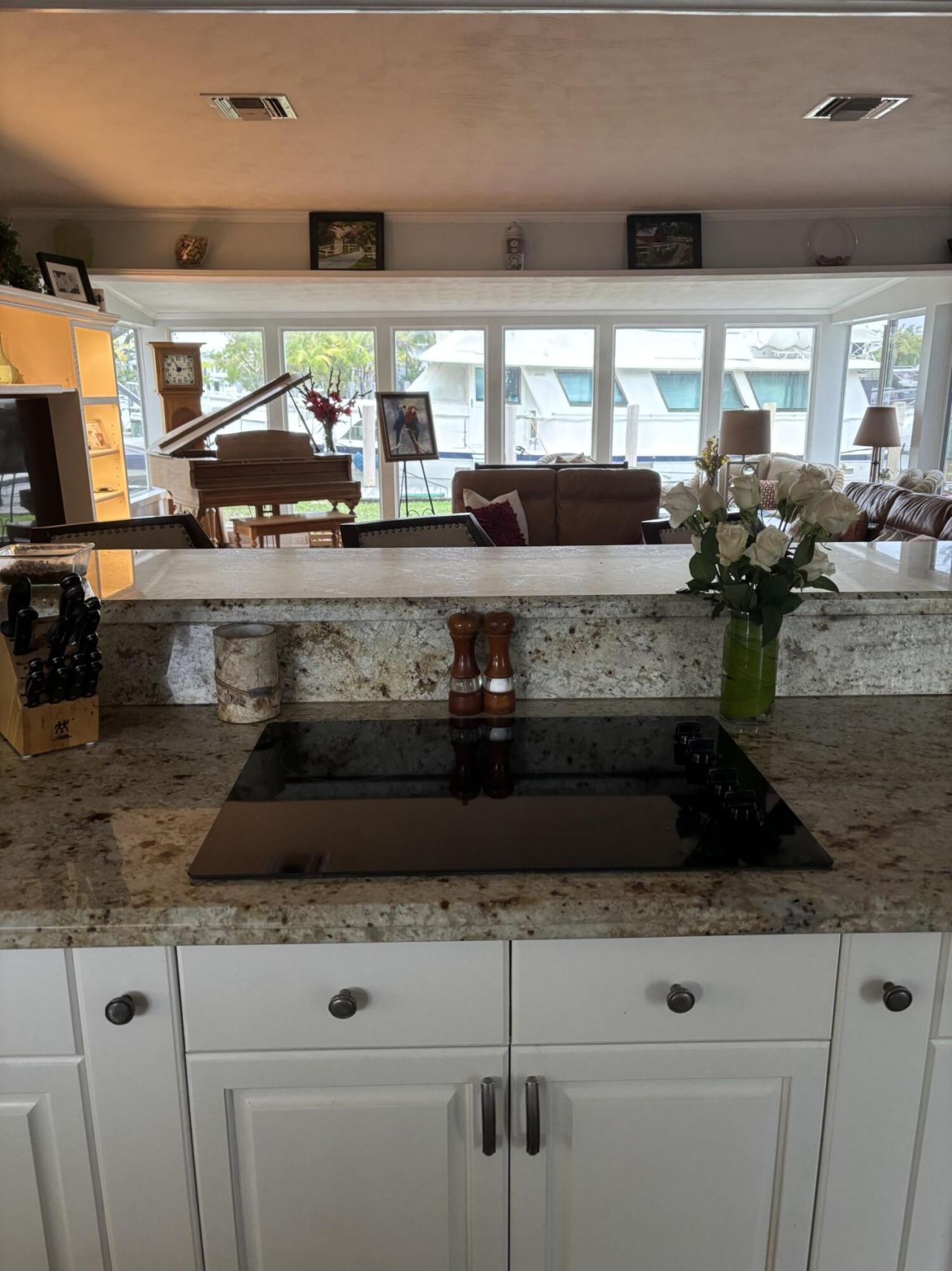 1607 SE 12th Court, Fort Lauderdale, FL 33316 Photo