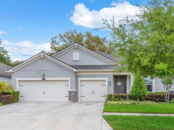 11404 BLUE WOODS DRIVE , RIVERVIEW, FL 33569