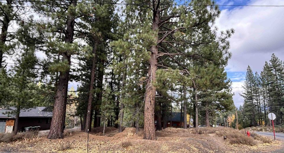 10294 Sugar Pine Road, Truckee, CA 96161 Photo