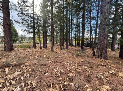 10294 Sugar Pine Road, Truckee, CA 96161 Photo