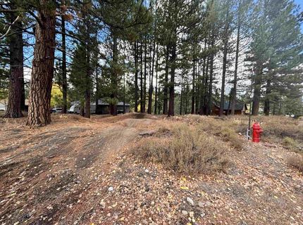 10294 Sugar Pine Road, Truckee, CA 96161 Photo