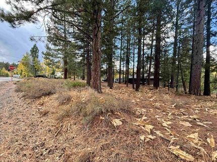 10294 Sugar Pine Road, Truckee, CA 96161 Photo