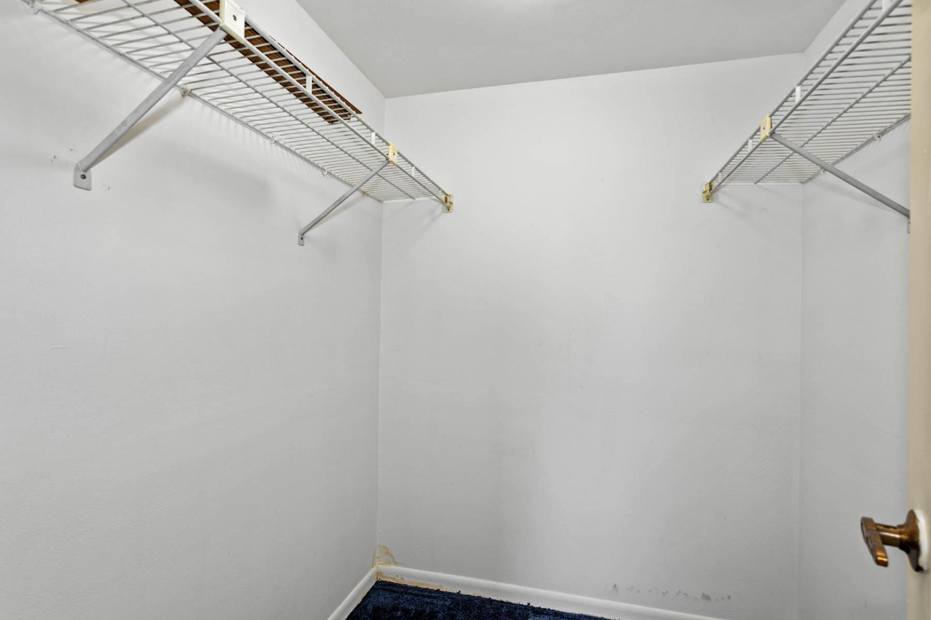 3001 W Rolling Hills Circle, Unit 301, Davie, FL 33328 Photo