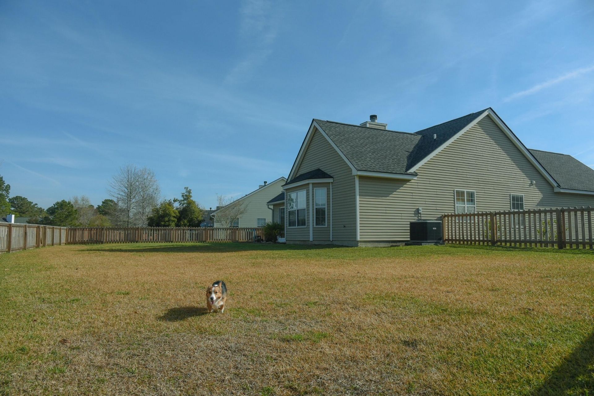 1617 1617 Pin Oak Cut Photo 16