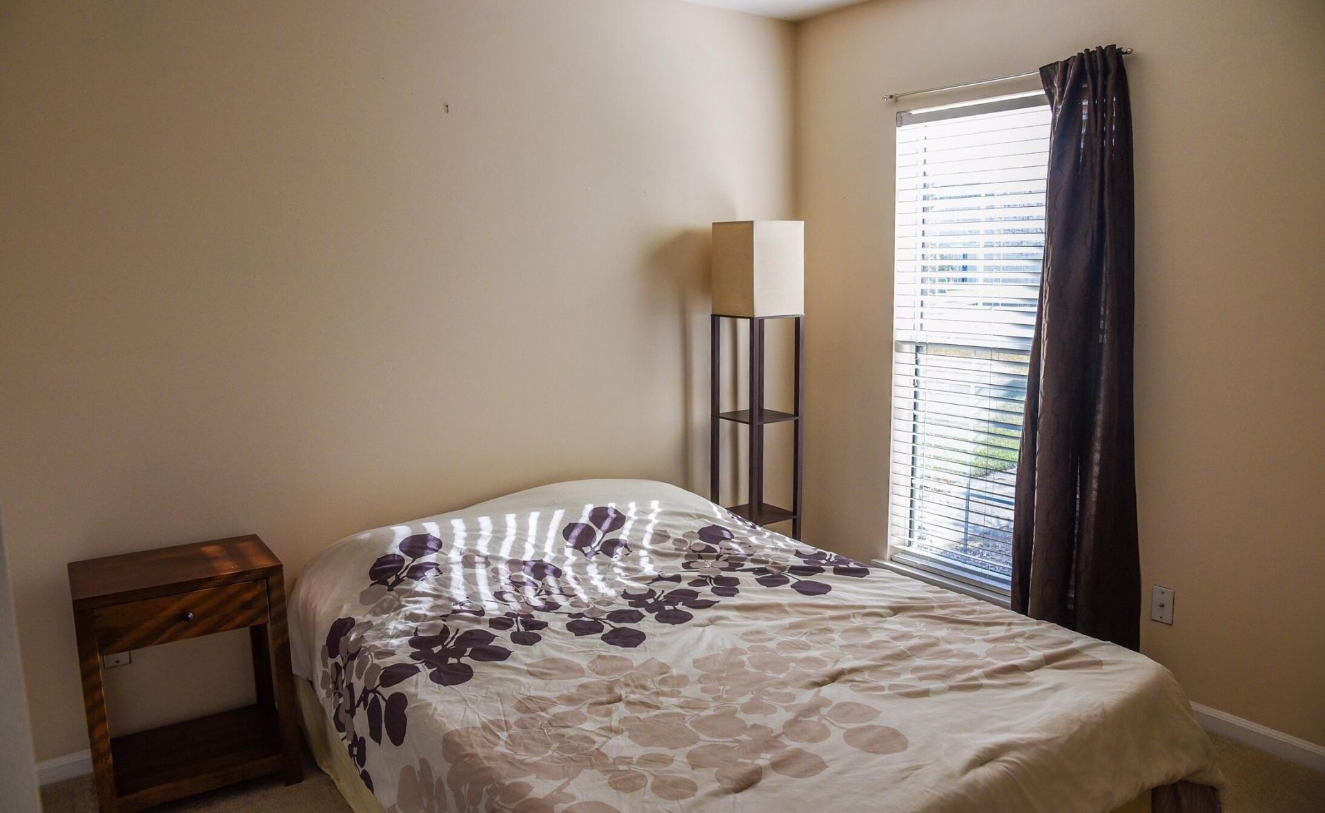 1617 1617 Pin Oak Cut Photo 5