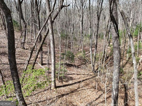 L129/124 Laurel Crossing, Blue Ridge, GA 30513