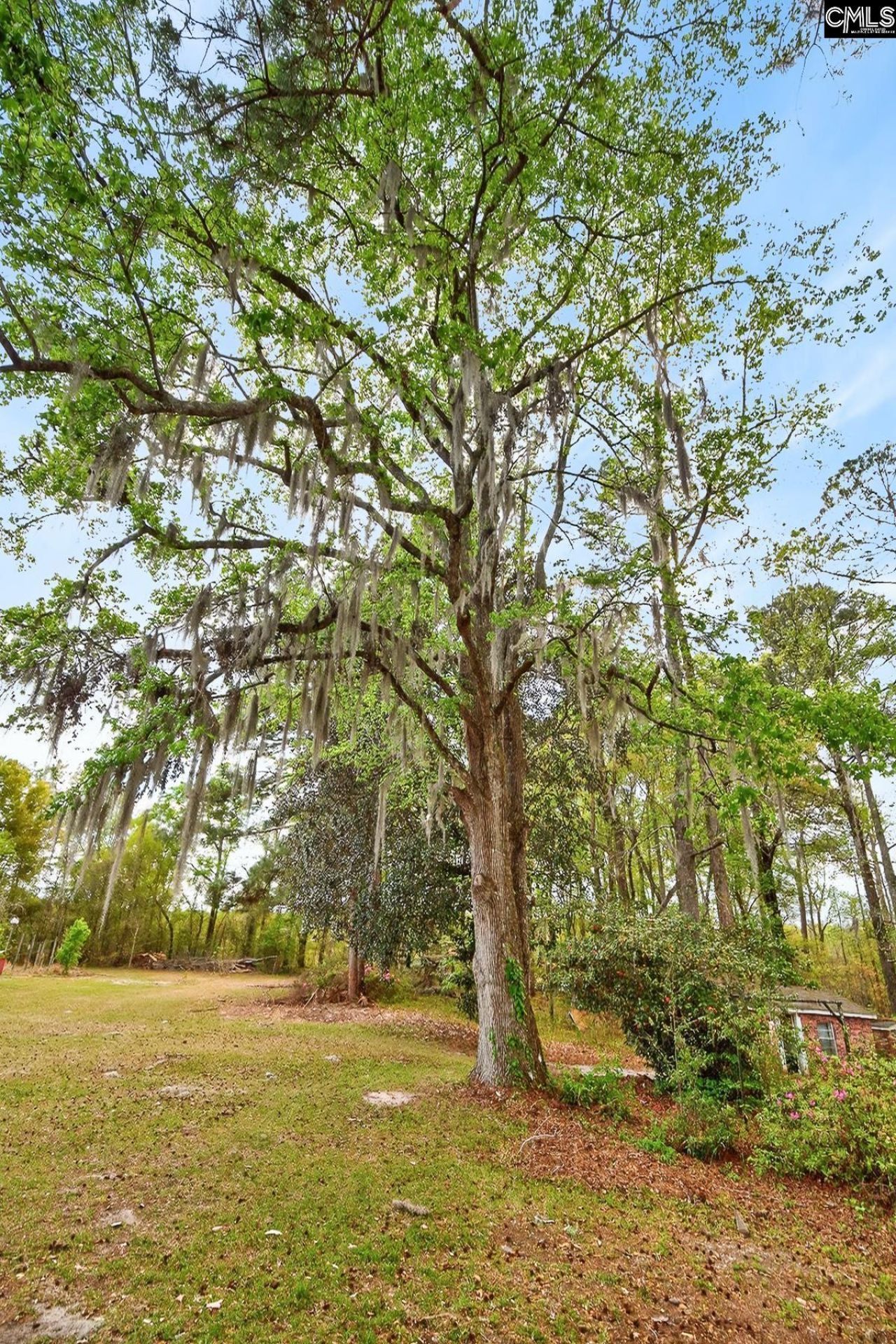 3643 Char-augusta Road Photo 32