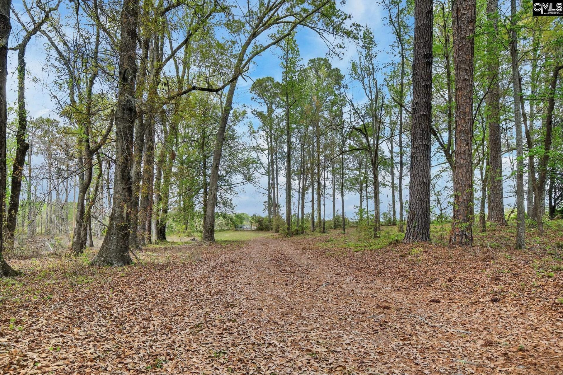 3643 Char-augusta Road Photo 42