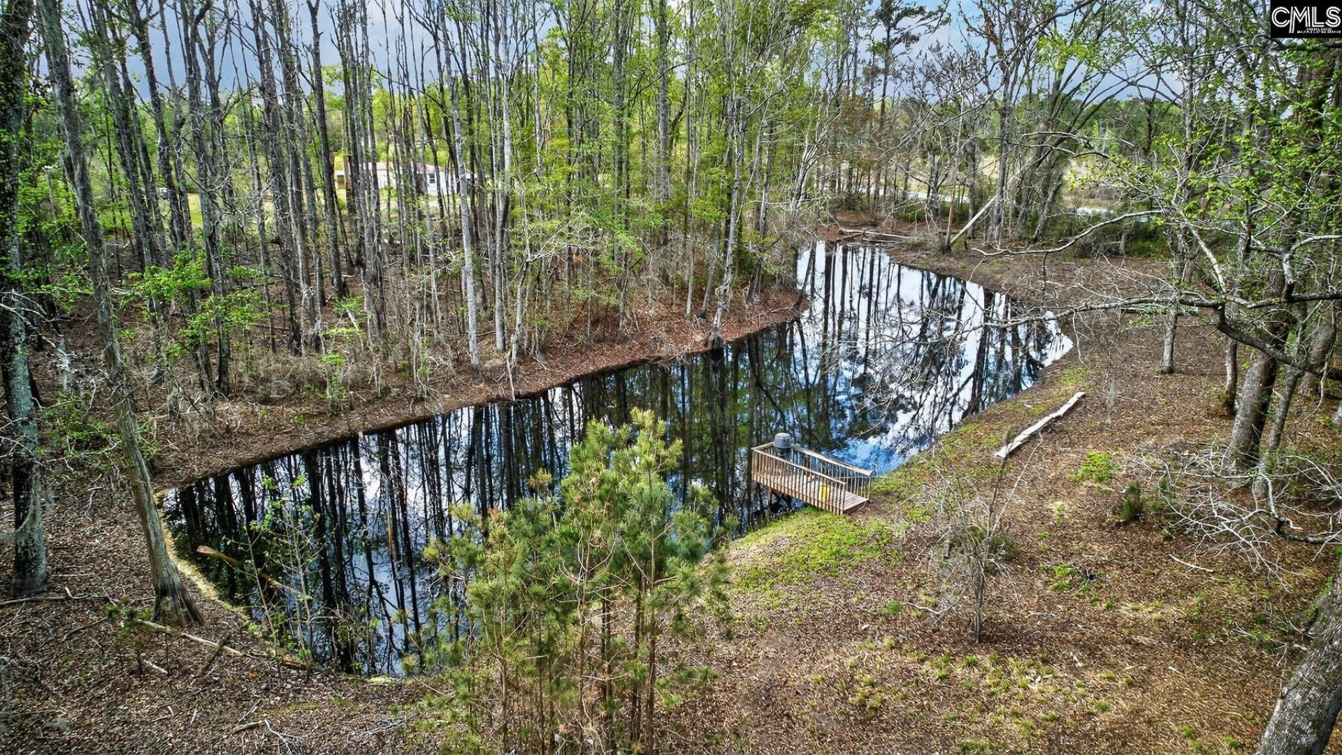 3643 Char-augusta Road Photo 9