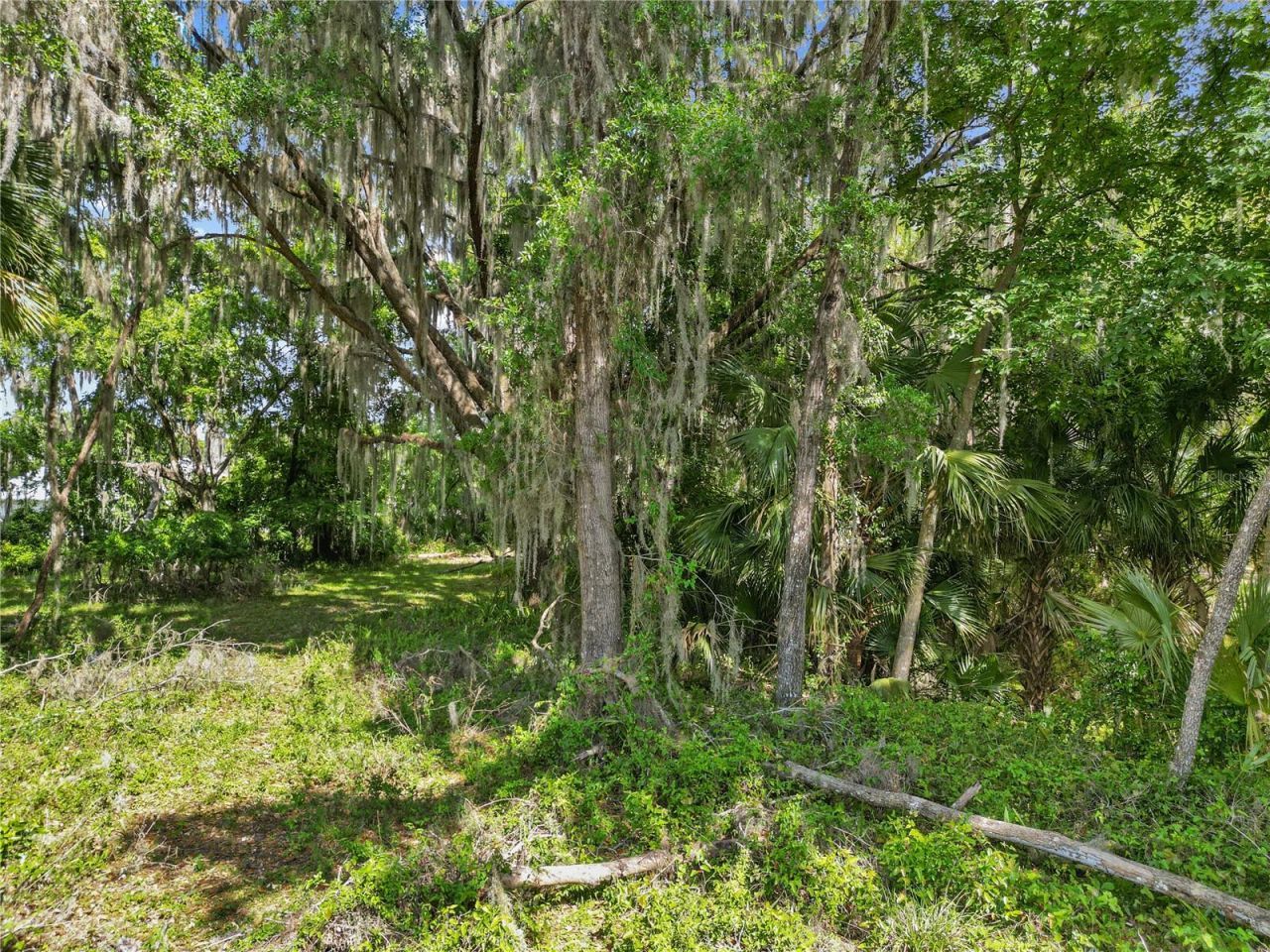 1025 Cr 452a, Lake Panasoffkee, FL 33538 Photo