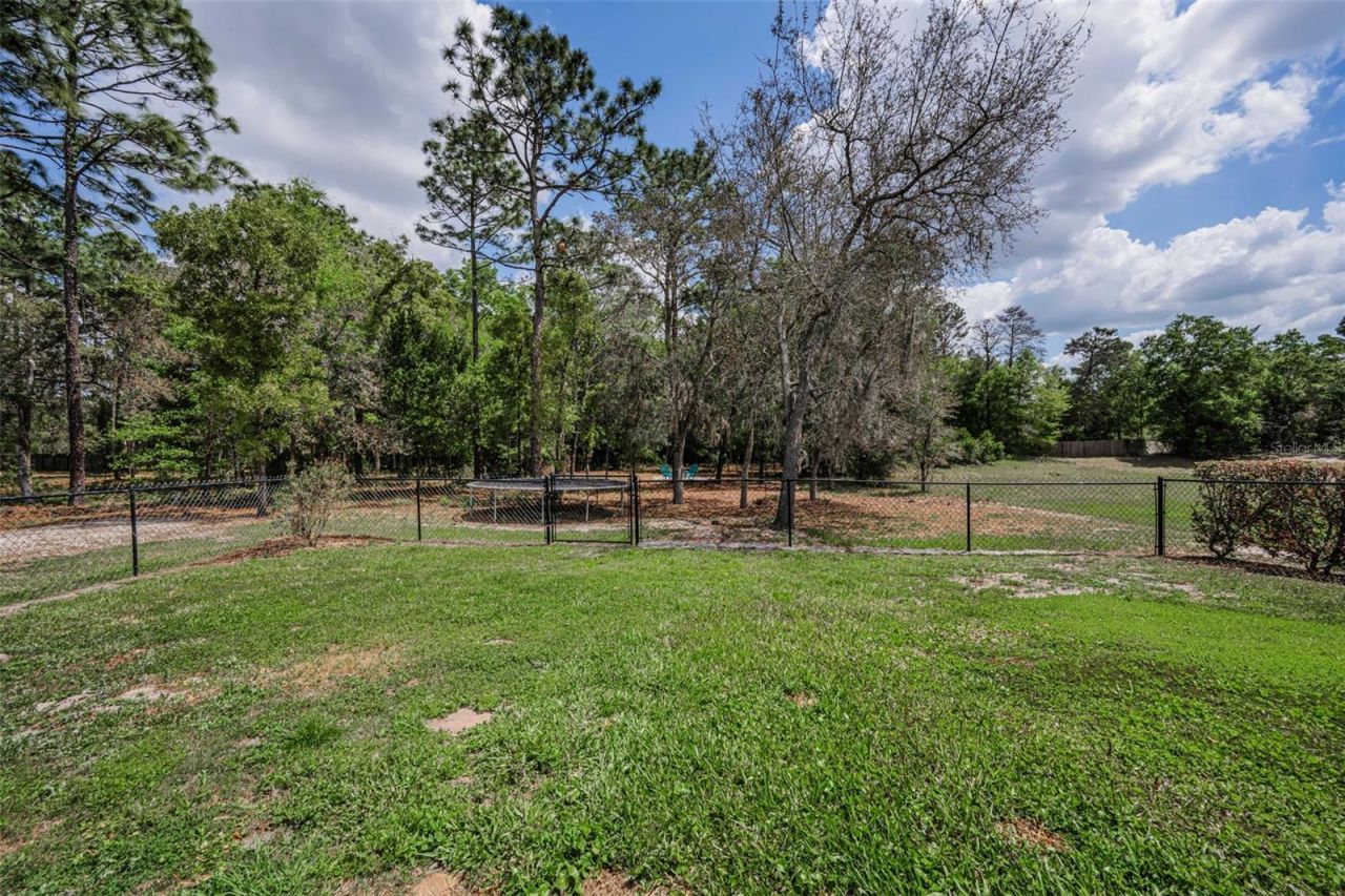 15747 Sago Drive , Brooksville, FL 34604 Photo