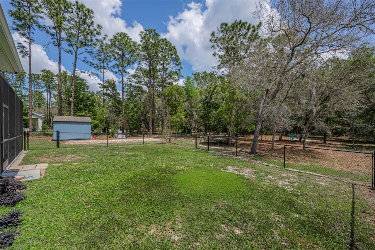15747 Sago Drive, Brooksville, FL 34604 Photo