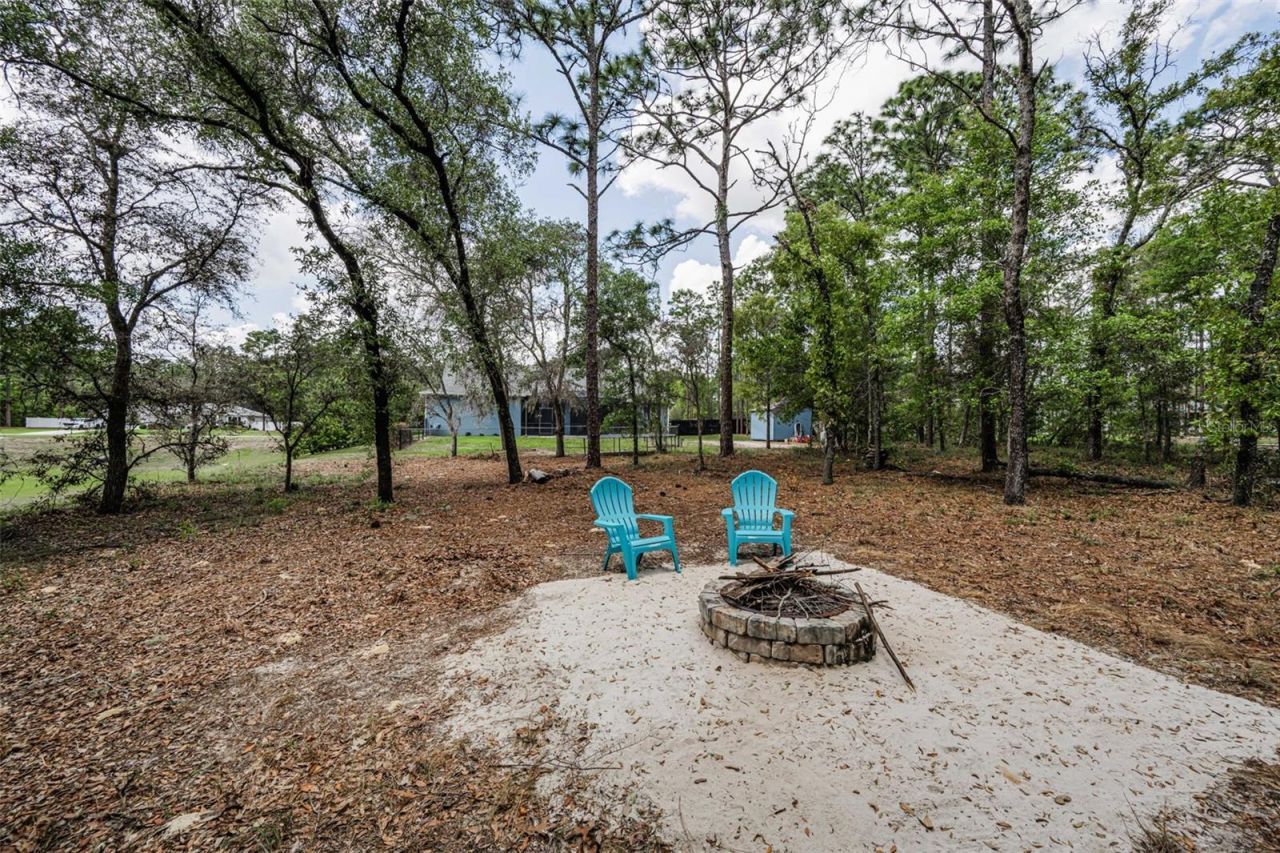 15747 Sago Drive, Brooksville, FL 34604 Photo