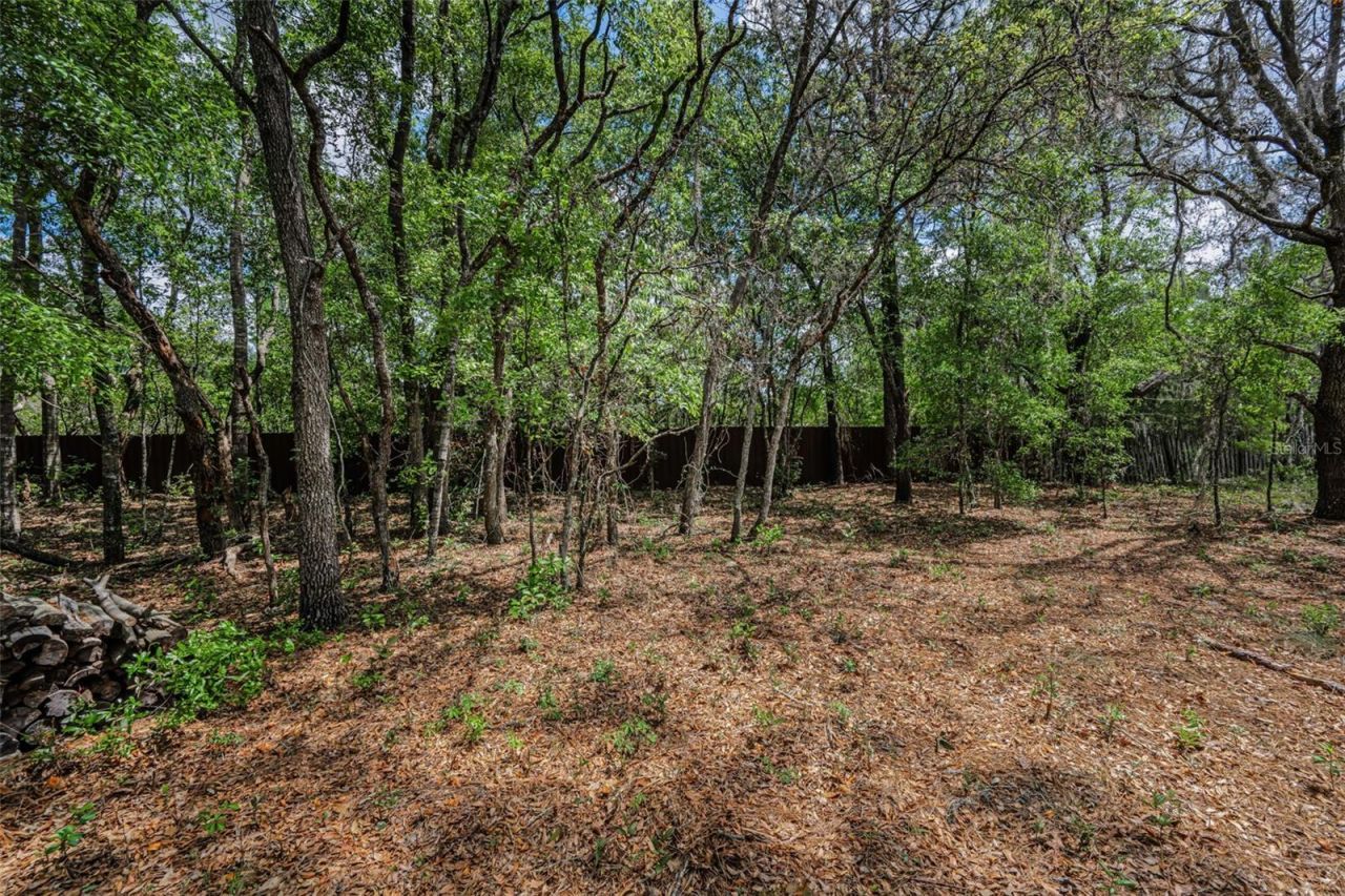 15747 Sago Drive , Brooksville, FL 34604 Photo