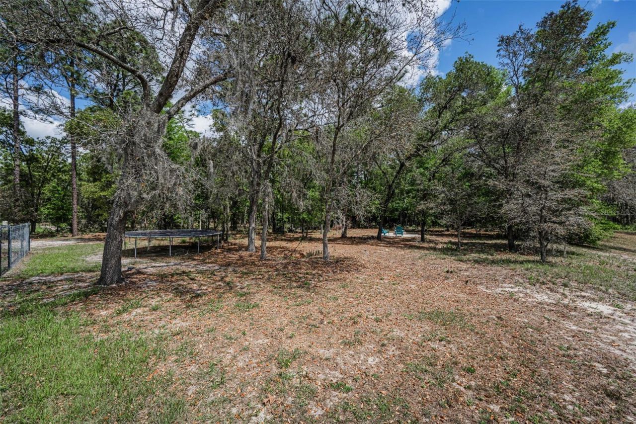 15747 Sago Drive, Brooksville, FL 34604 Photo