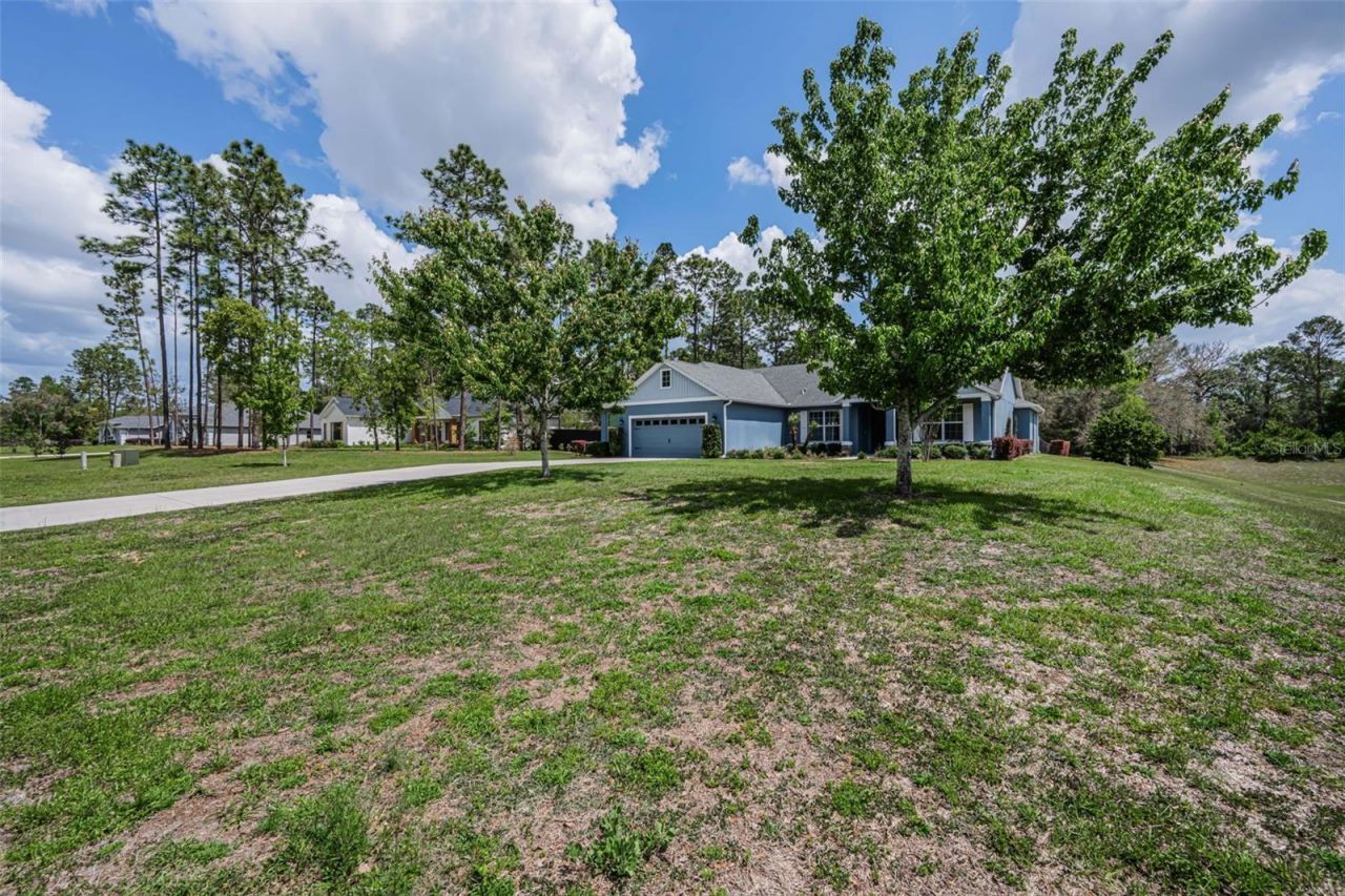 15747 Sago Drive , Brooksville, FL 34604 Photo