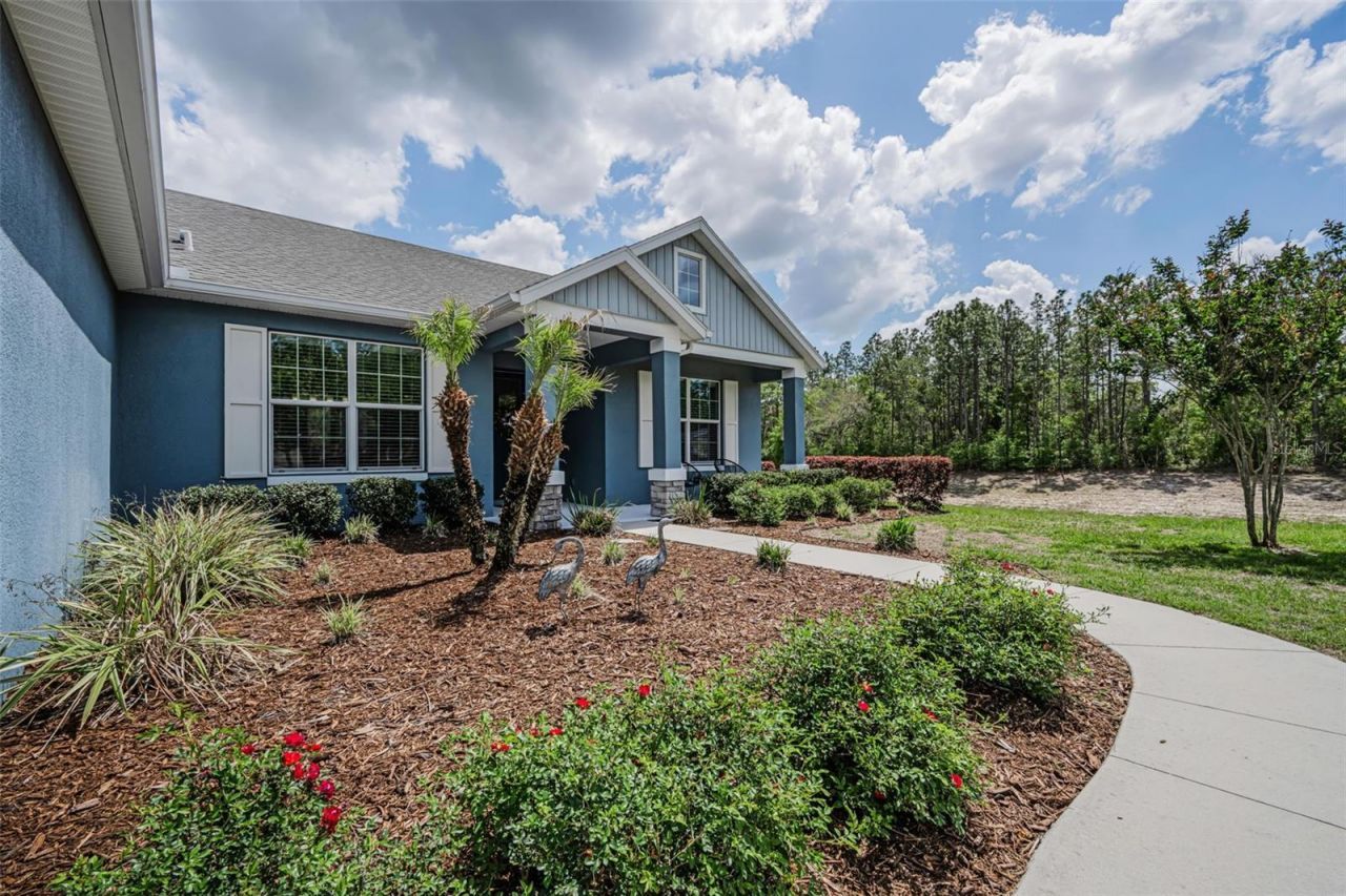 15747 Sago Drive, Brooksville, FL 34604 Photo