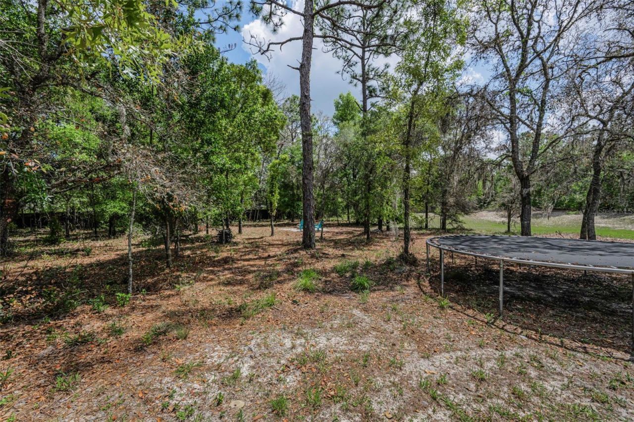 15747 Sago Drive, Brooksville, FL 34604 Photo