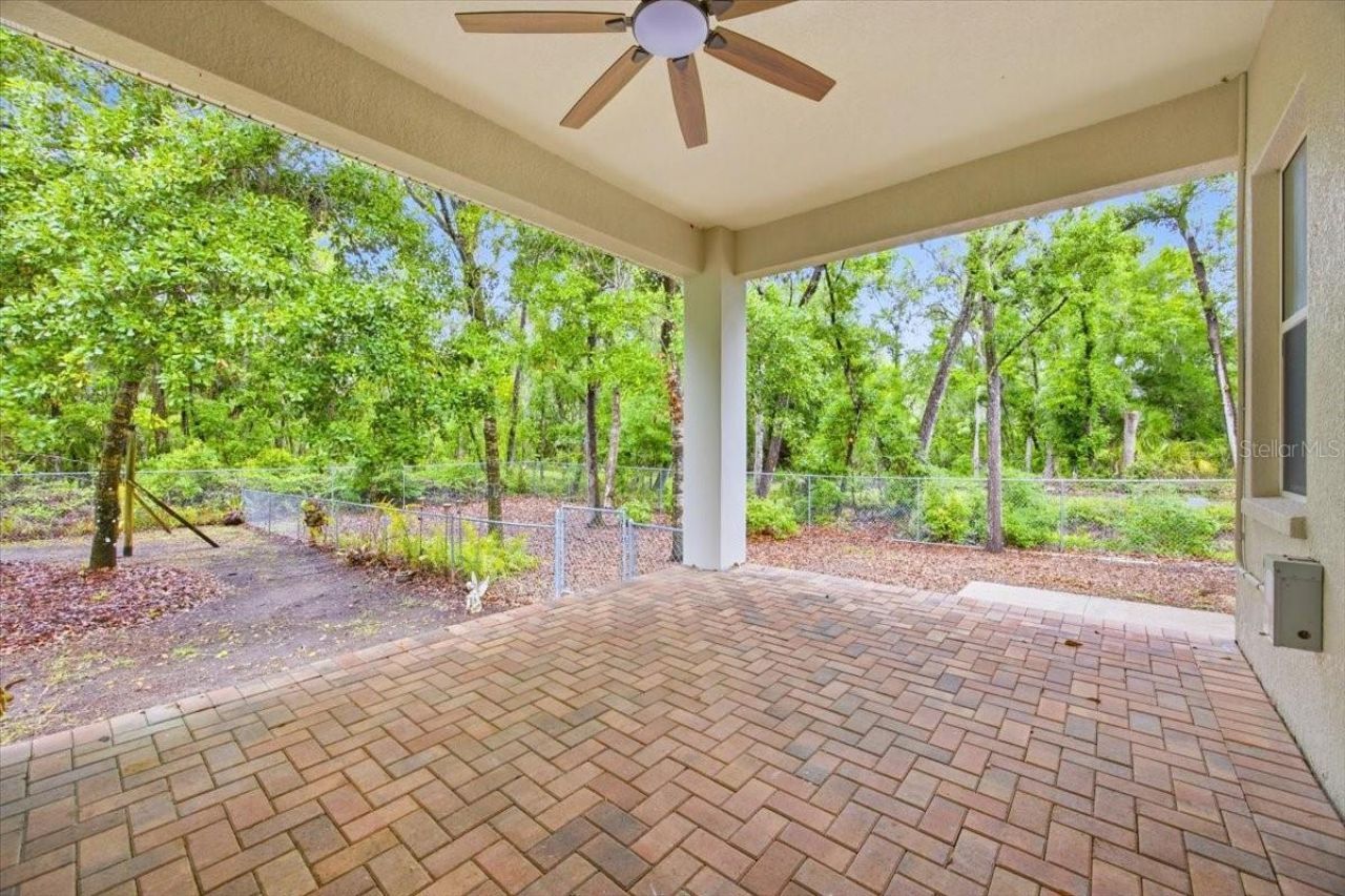 713 Whitehall St, Plant City, FL 33563 Photo