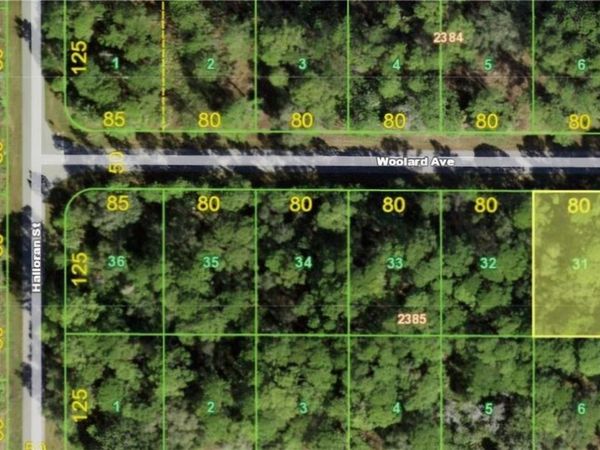 13101 WOOLARD AVENUE , PORT CHARLOTTE, FL 33953