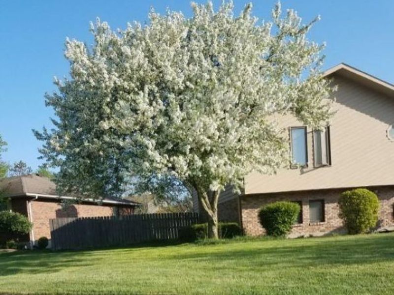 6701 Whitaker Street, Dayton, OH 45415 Photo 10