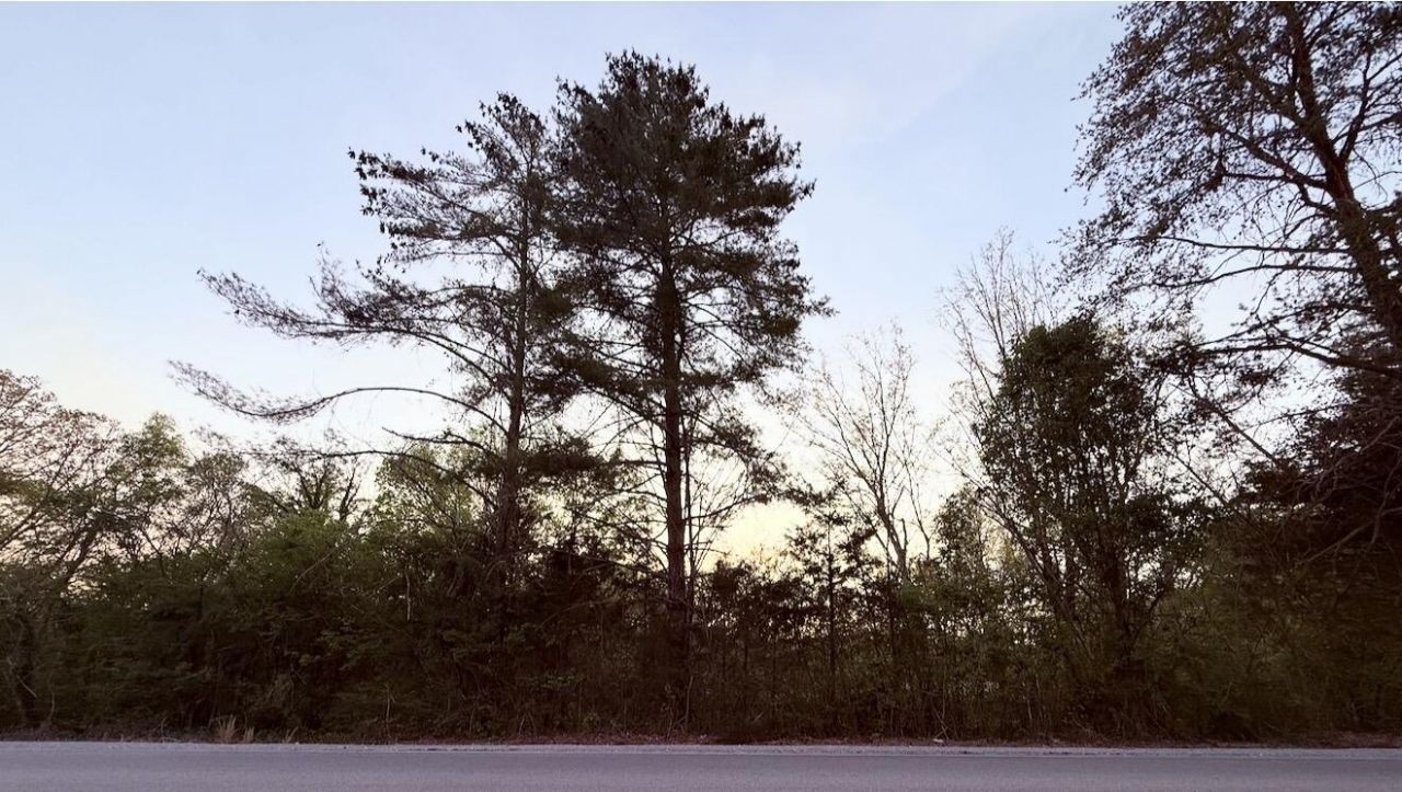 8709 Snow Hill Road, Ooltewah, TN 37363 Main Photo