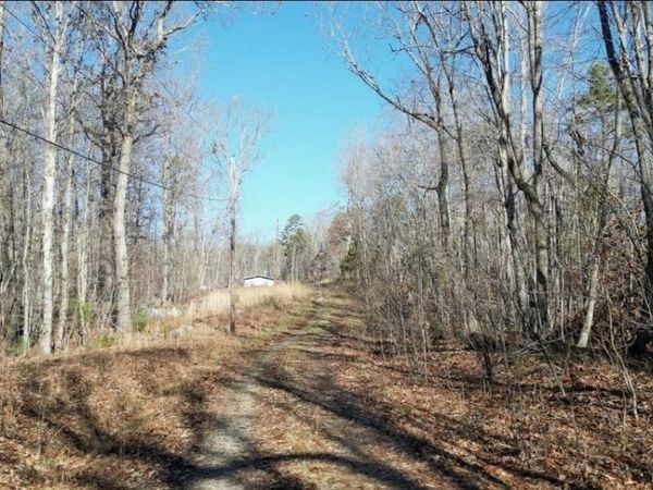 Lot 69 W Log Road W, Spring City, TN 37381