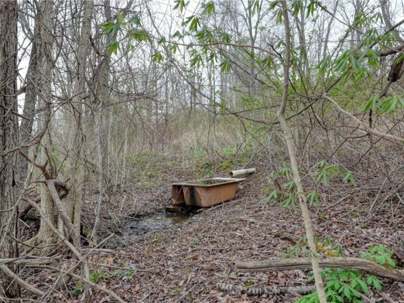 63710 Batesville Road, Quaker City, OH 43773 Photo 37