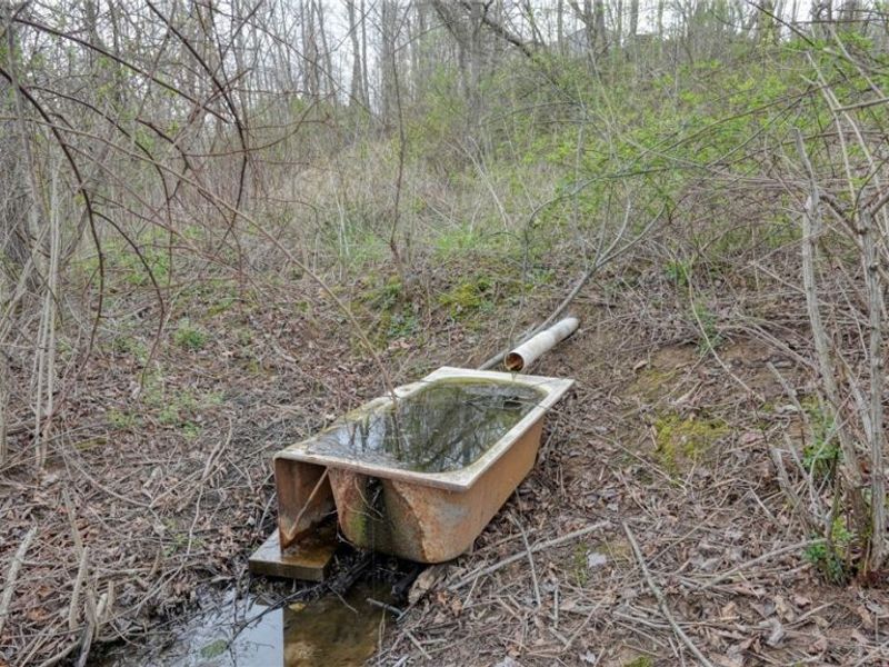 63710 Batesville Road, Quaker City, OH 43773 Photo 38