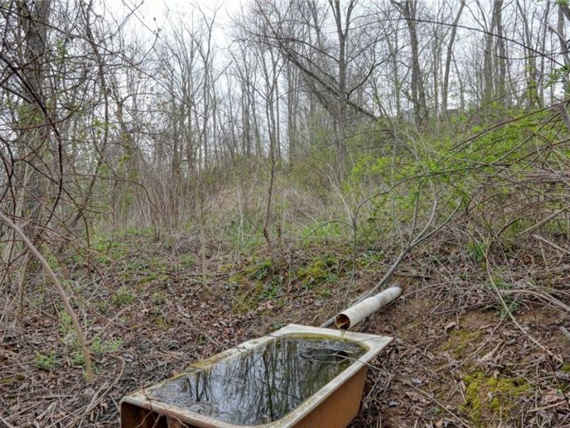 63710 Batesville Road, Quaker City, OH 43773 Photo 39