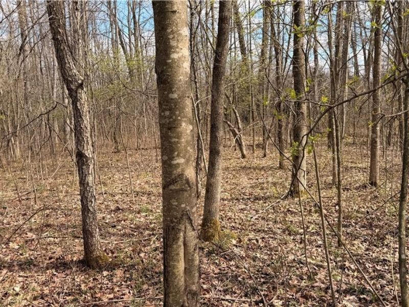 Addison Road, Brookfield, OH 44438 Photo 1