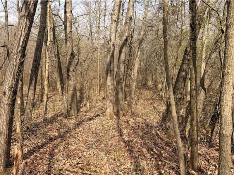 Addison Road, Brookfield, OH 44438 Photo 10