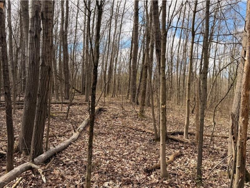 Addison Road, Brookfield, OH 44438 Photo 11