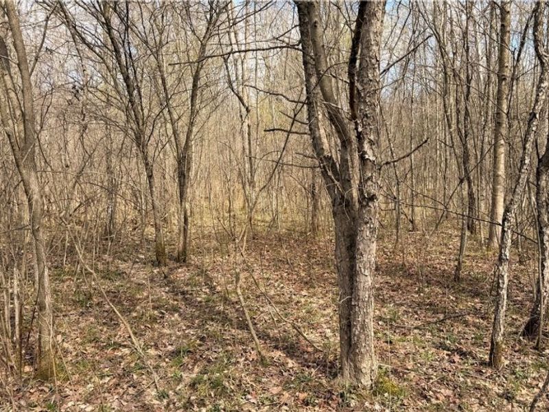 Addison Road, Brookfield, OH 44438 Photo 2