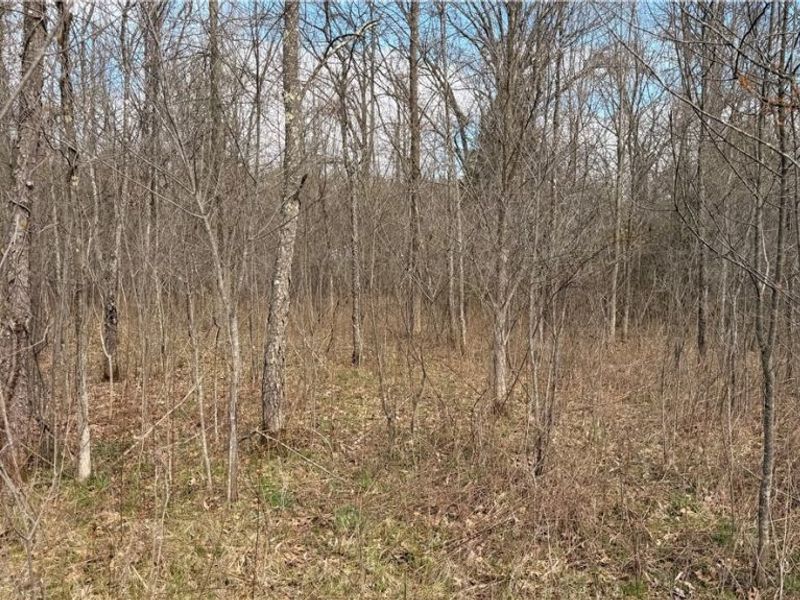 Addison Road, Brookfield, OH 44438 Photo 3