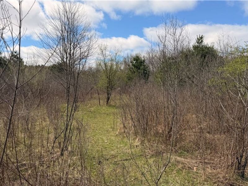 Addison Road, Brookfield, OH 44438 Photo 4