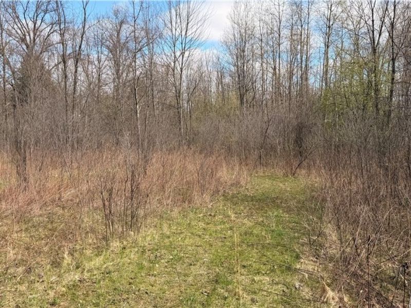 Addison Road, Brookfield, OH 44438 Photo 5