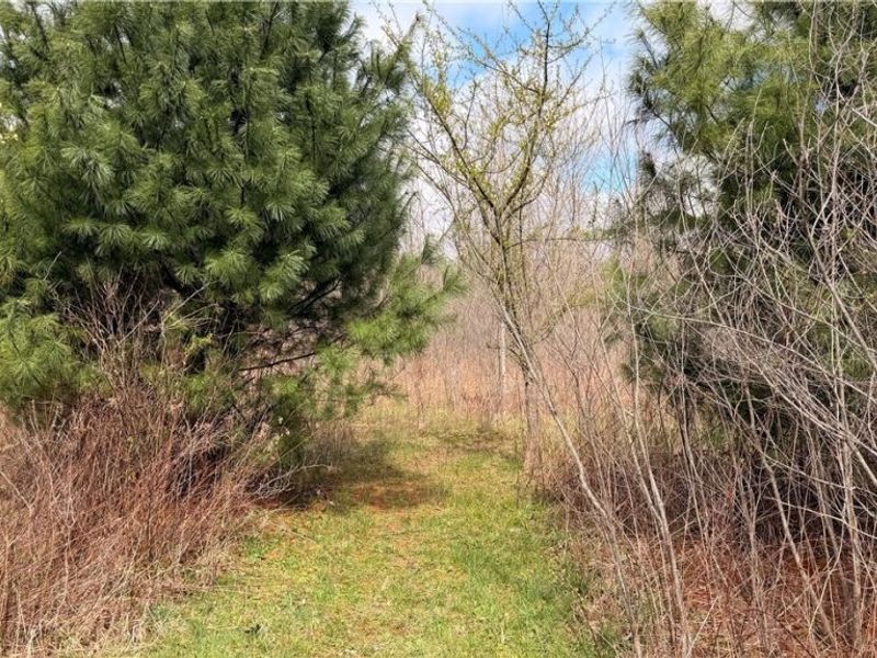 Addison Road, Brookfield, OH 44438 Photo 6