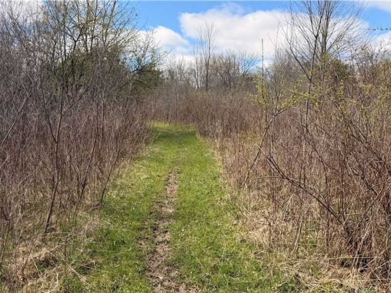 Addison Road, Brookfield, OH 44438 Photo 7