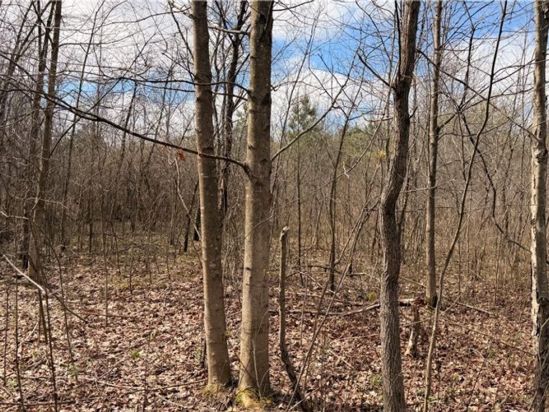 Addison Road, Brookfield, OH 44438 Photo 8