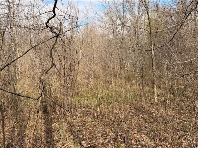 Addison Road, Brookfield, OH 44438 Photo 9