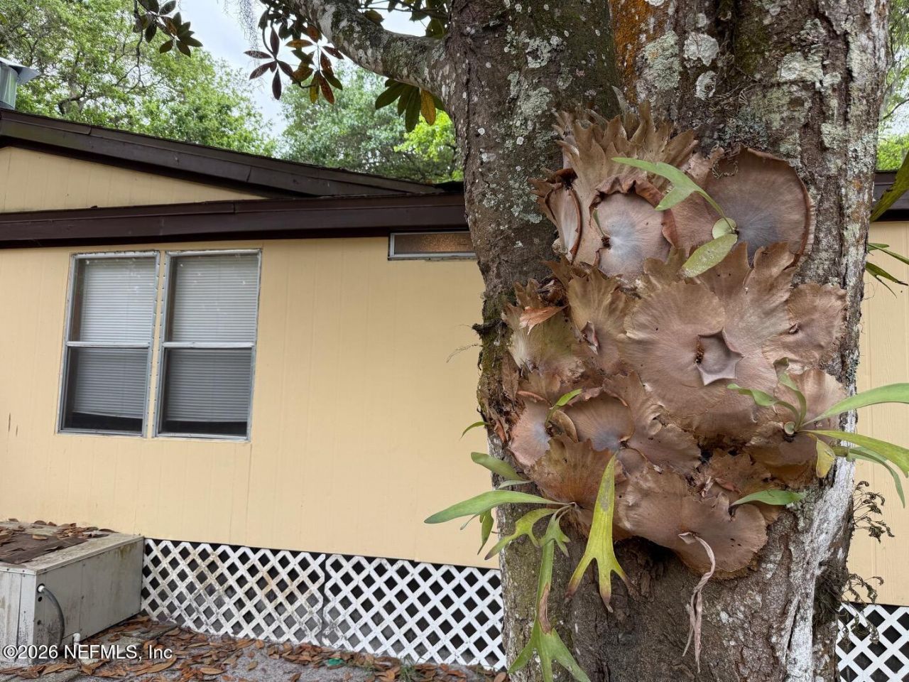 8105 Colee Cove Road, Saint Augustine, FL 32092 Photo