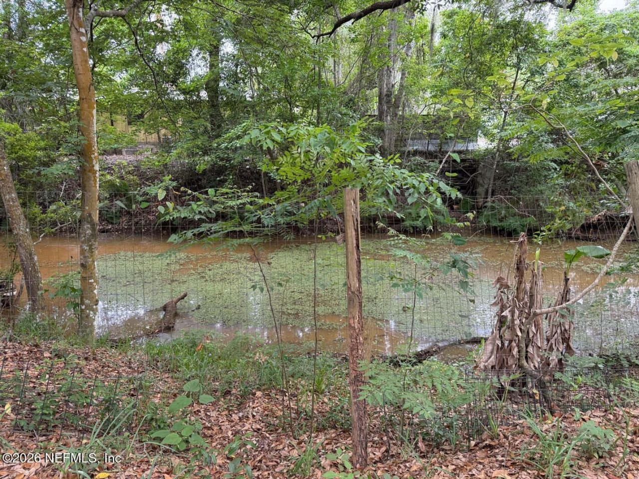 8105 Colee Cove Road, Saint Augustine, FL 32092 Photo