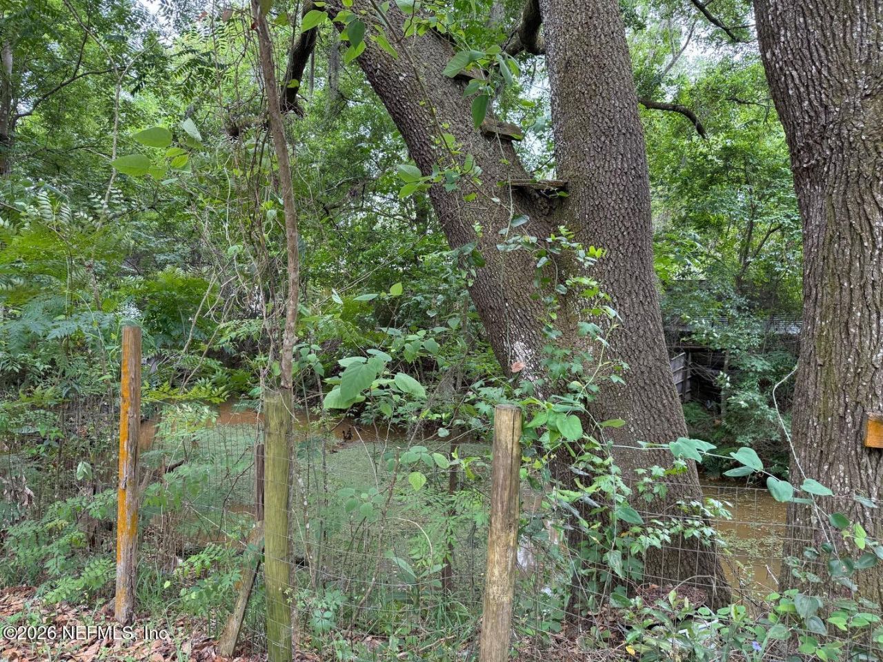 8105 Colee Cove Road, Saint Augustine, FL 32092 Photo