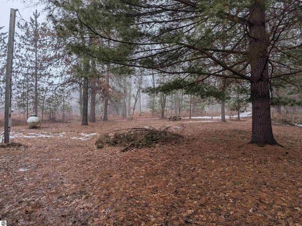 3201 Franklin Road, Alger, MI 48610