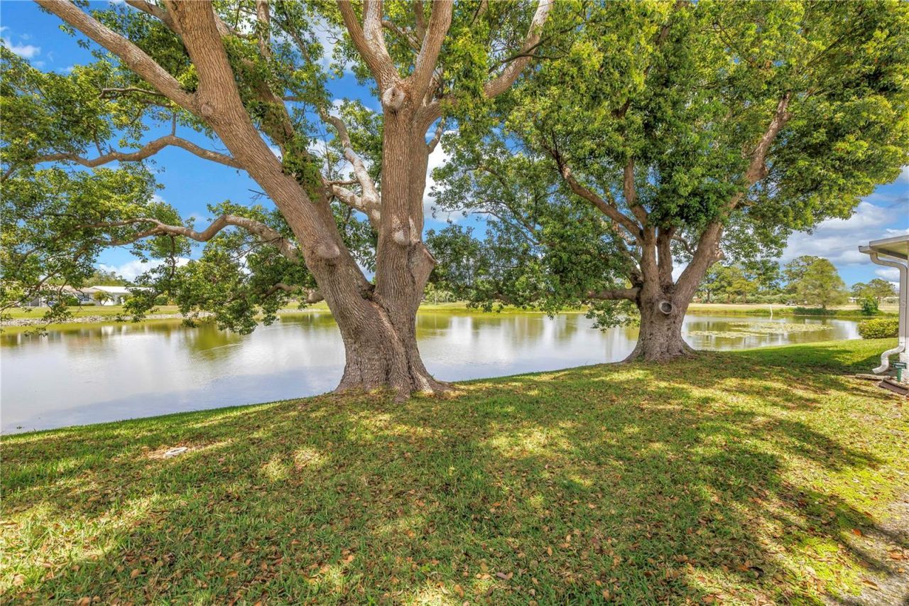 9210 40th Street N, Pinellas Park, FL 33782 Photo